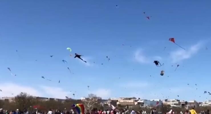 В небе над Вашингтоном запустили тысячи воздушных змеев