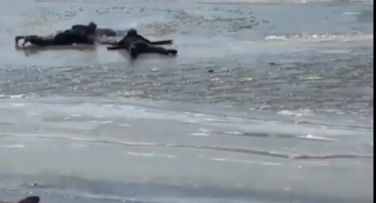 Появилось видео, как трое мужчин спасли провалившегося под лед пса
