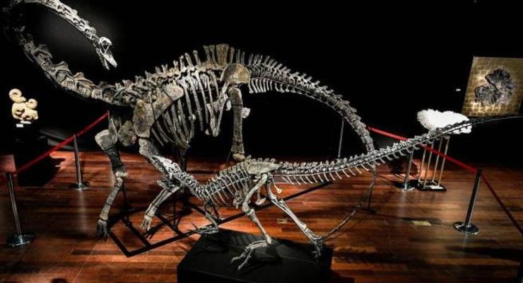 На аукционе продали скелеты динозавров за два миллиона долларов