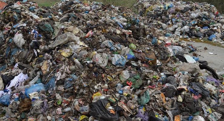 Возле трассы Киев - Чоп нашли десятки тонн львовского мусора