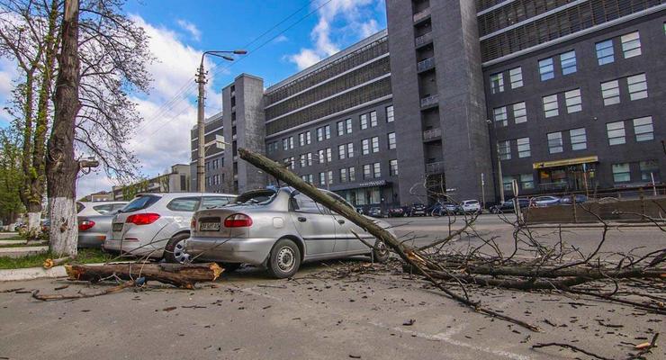 В Киеве по Новоконстантиновской дерево упало на автомобиль