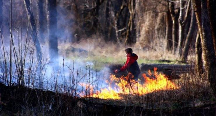 В Украине 5-й уровень пожароопасности: экологи бьют тревогу