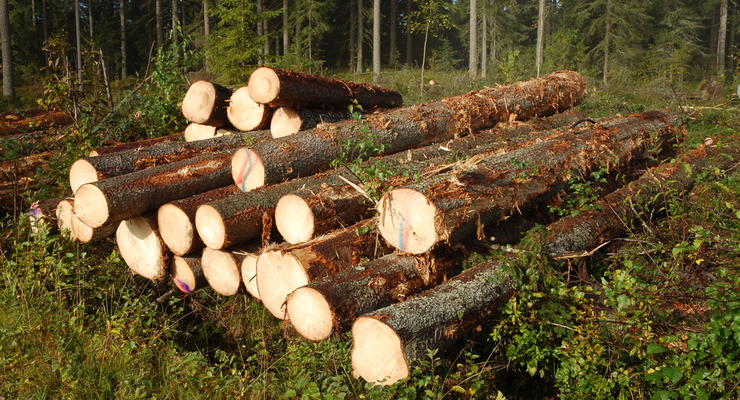 Украина и ЕС согласовали арбитров в споре о лесе-кругляке