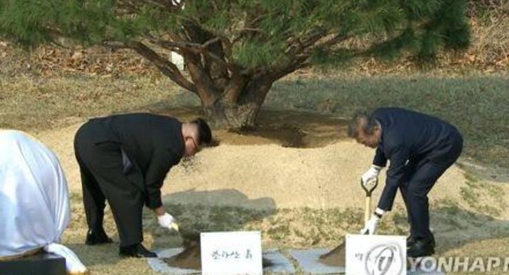 Лидеры Северной и Южной Кореи посадили сосну мира