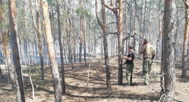 В Луганской области горит пять гектаров леса
