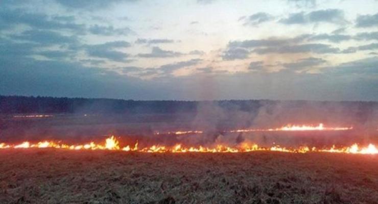 ГСЧС: В Украине чрезвычайная пожарная опасность
