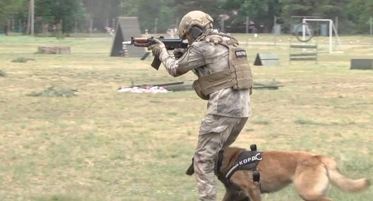 Во Львовской области подготовили собак-штурмовиков для спецназа