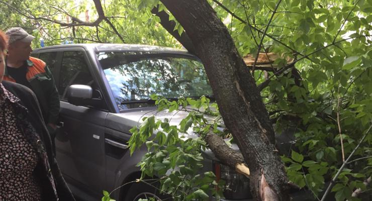 В Киеве дерево рухнуло на Range Rover, стоявший на тротуаре