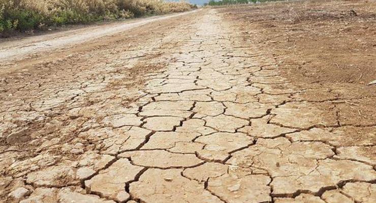 В Израиле из-за засухи рекордный дефицит воды
