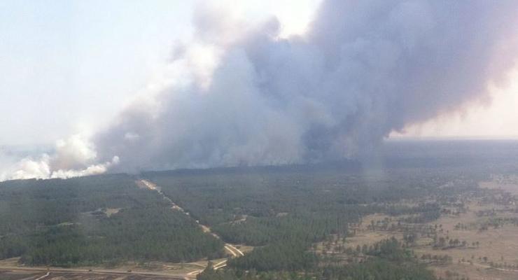 Тушение лесного пожара на Херсонщине приостановлено до утра