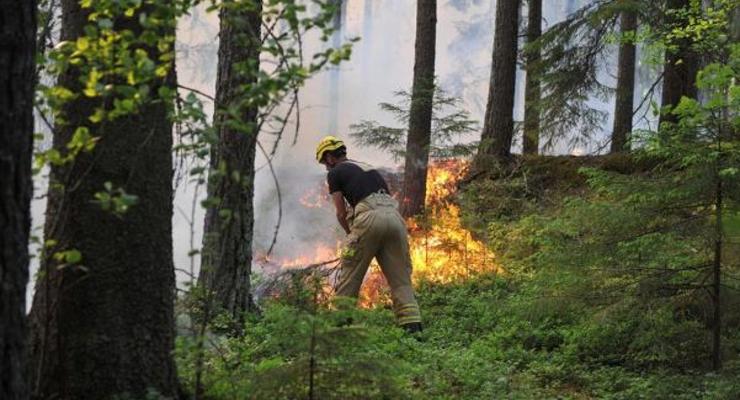 В Швеции из-за поезда со сломанными тормозами загорелся лес