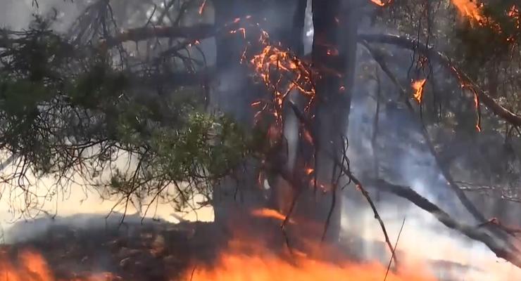 В Херсонской области третий день тушат пожар