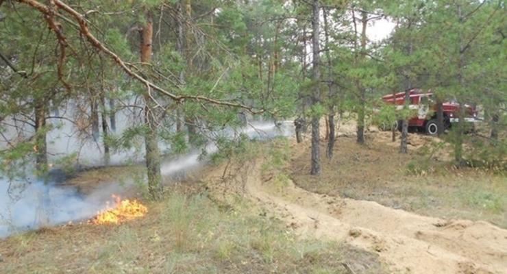 В Украине объявили 5 уровень пожарной опасности