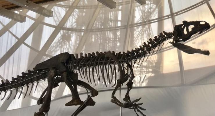 Во Франции продали скелет динозавра за ?2 млн
