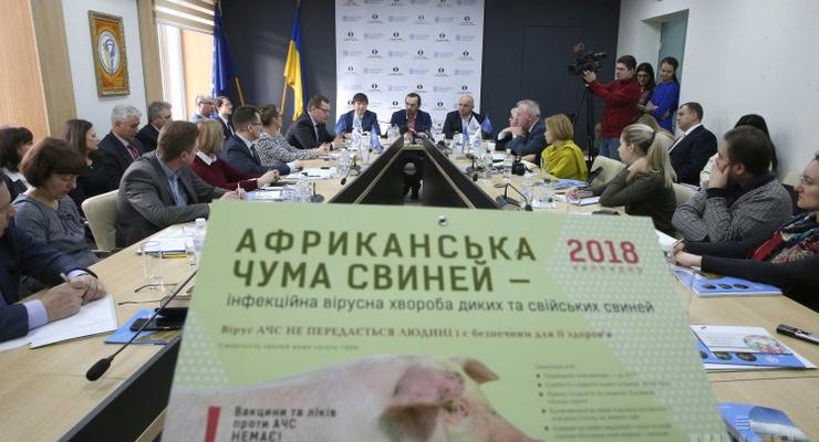В Украине зафиксировано 59 случаев африканской чумы свиней