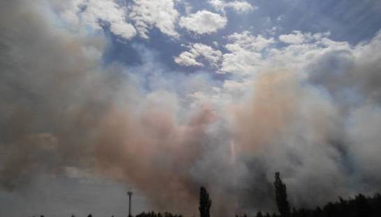 В Чернобыле горит не лес, а подстилка - ГСЧС