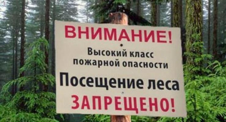 В Крыму жителям запретили ходить в лес