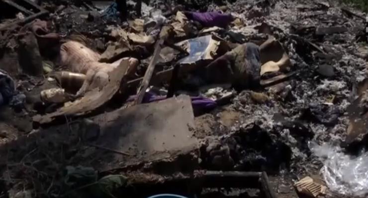 В Запорожье живодеры сожгли живьем щенков