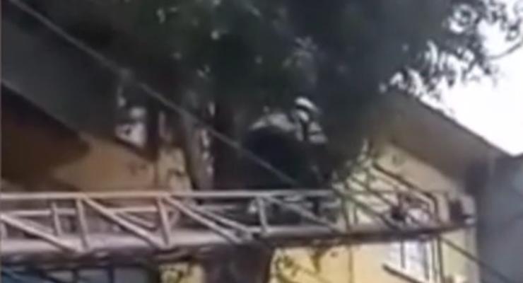 В Кривом Роге спасатели снимали ребенка, застрявшего на дереве