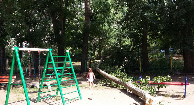 В Одессе на две детские площадки рухнули деревья