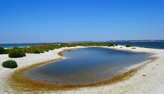 Под Николаевом создали искусственный остров