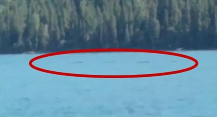 В китайском озере засняли загадочное существо