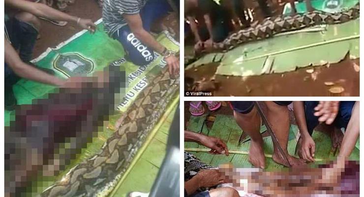 В Индонезии питон проглотил женщину: змею нашли и разрезали