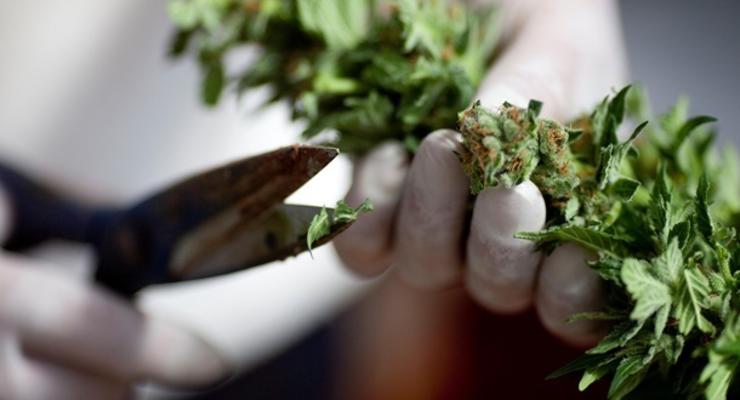 Парламент Канады поддержал легализацию марихуаны