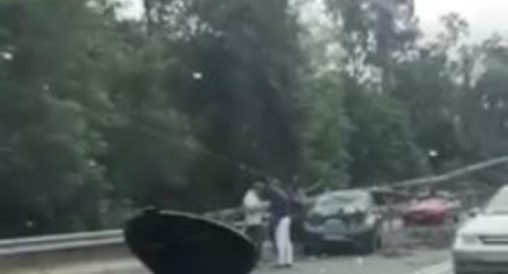 На трассе под Киевом дерево раздавило электромобиль