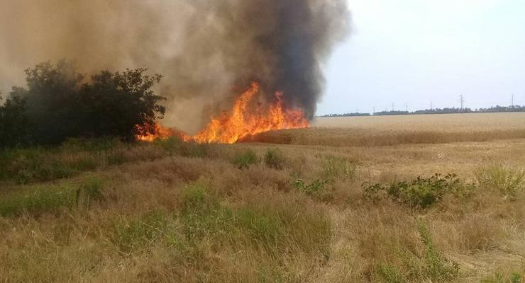 Под Николаевом пожар уничтожил несколько гектаров пшеницы