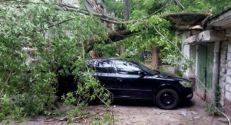 В Киеве на авто два раза упало аварийное дерево