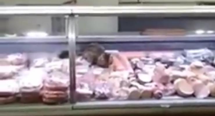 Киевляне засняли, как кот ел колбасу прямо в витрине супермаркета