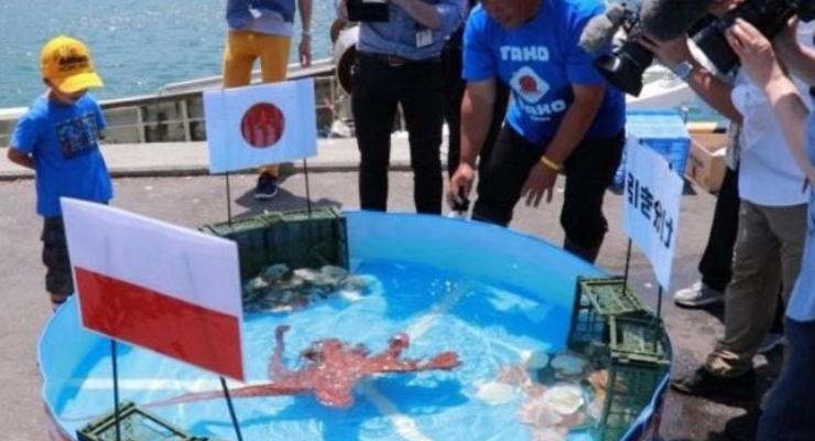 В Японии съели осьминога-предсказателя