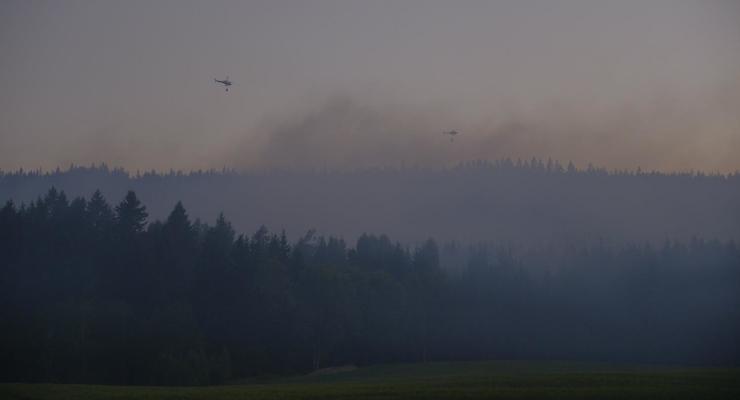 Норвегию охватили лесные пожары