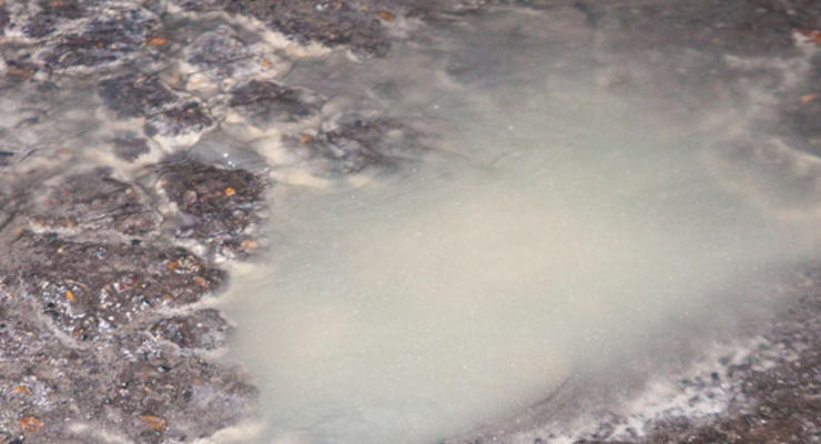 Жители Днепра заметили молочную "реку"