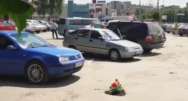 В Черновцах посадили цветы в ямах на дороге