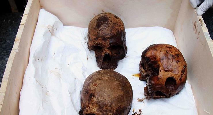 В Египте в найденном черном саркофаге обнаружили три мумии