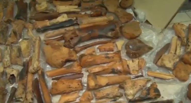 В Крыму в пещере нашли останки мамонтов и мастодонтов