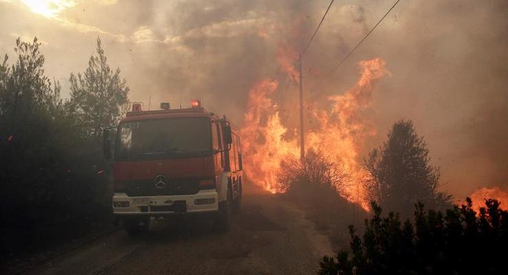 Пожары в Греции: число погибших достигло 50 человек