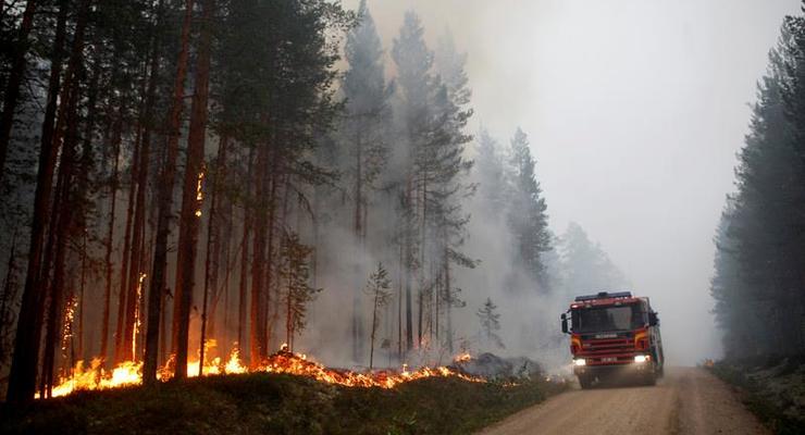 В Швеции сгорело более 25 тысяч гектаров леса