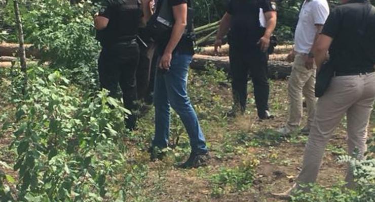 Застройщик под прикрытием титушек вырезал часть Гостомельского леса