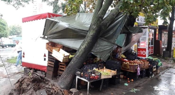 Ливень в Киеве: деревья повалены, движение парализовано