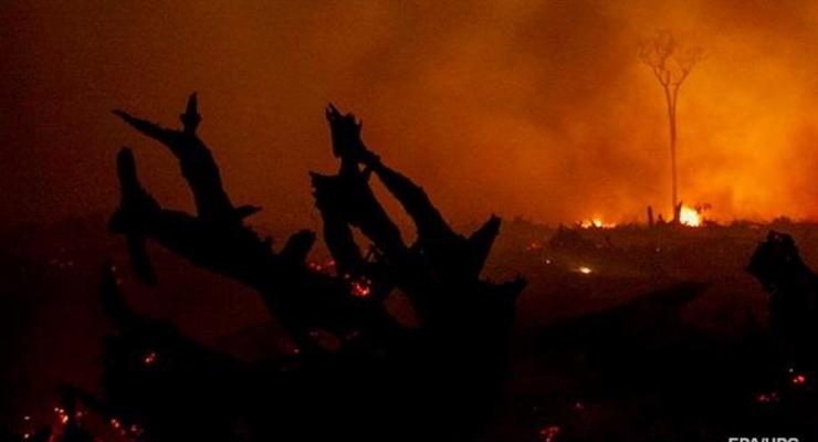 Жертвами лесных пожаров в Калифорнии стали пять человек
