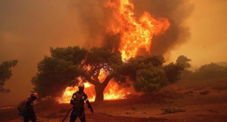 В США жертвами лесных пожаров стали шесть человек