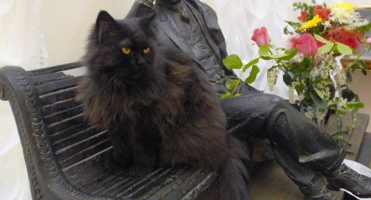 В Москве из Булгаковского дома украли кота Бегемота