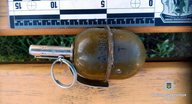 В Харькове на клумбе у жилого дома нашли гранату