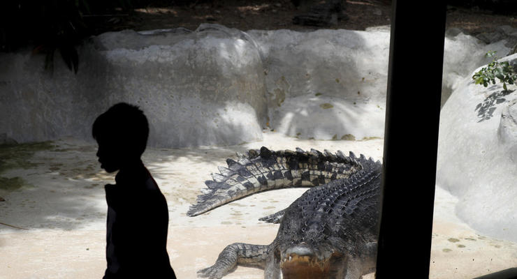 В Уганде крокодилы выудили жителей покинуть деревню