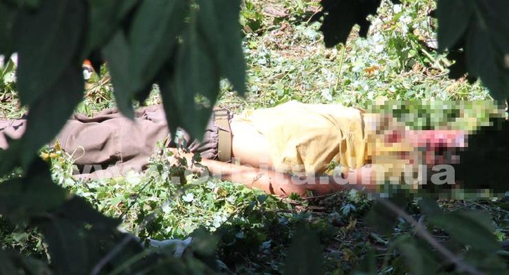 В Покровске погиб коммунальщик в ходе распилки деревьев