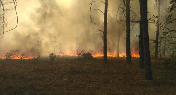 Пожар в лесу под Николаевым ликвидирован