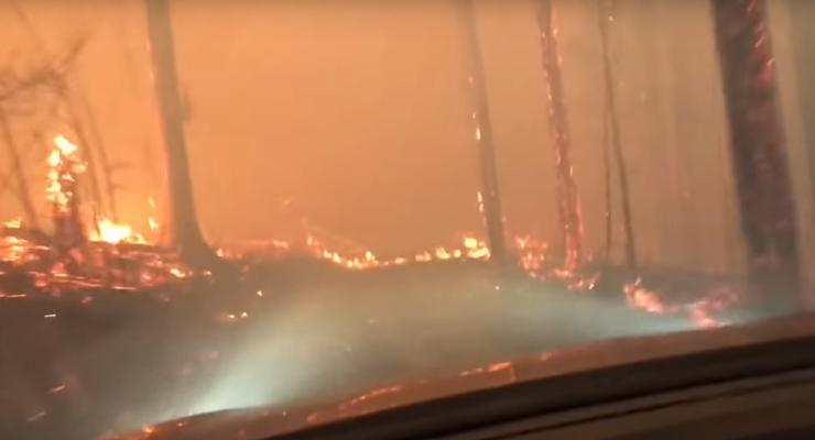 Американцы на авто спаслись от лесного пожара